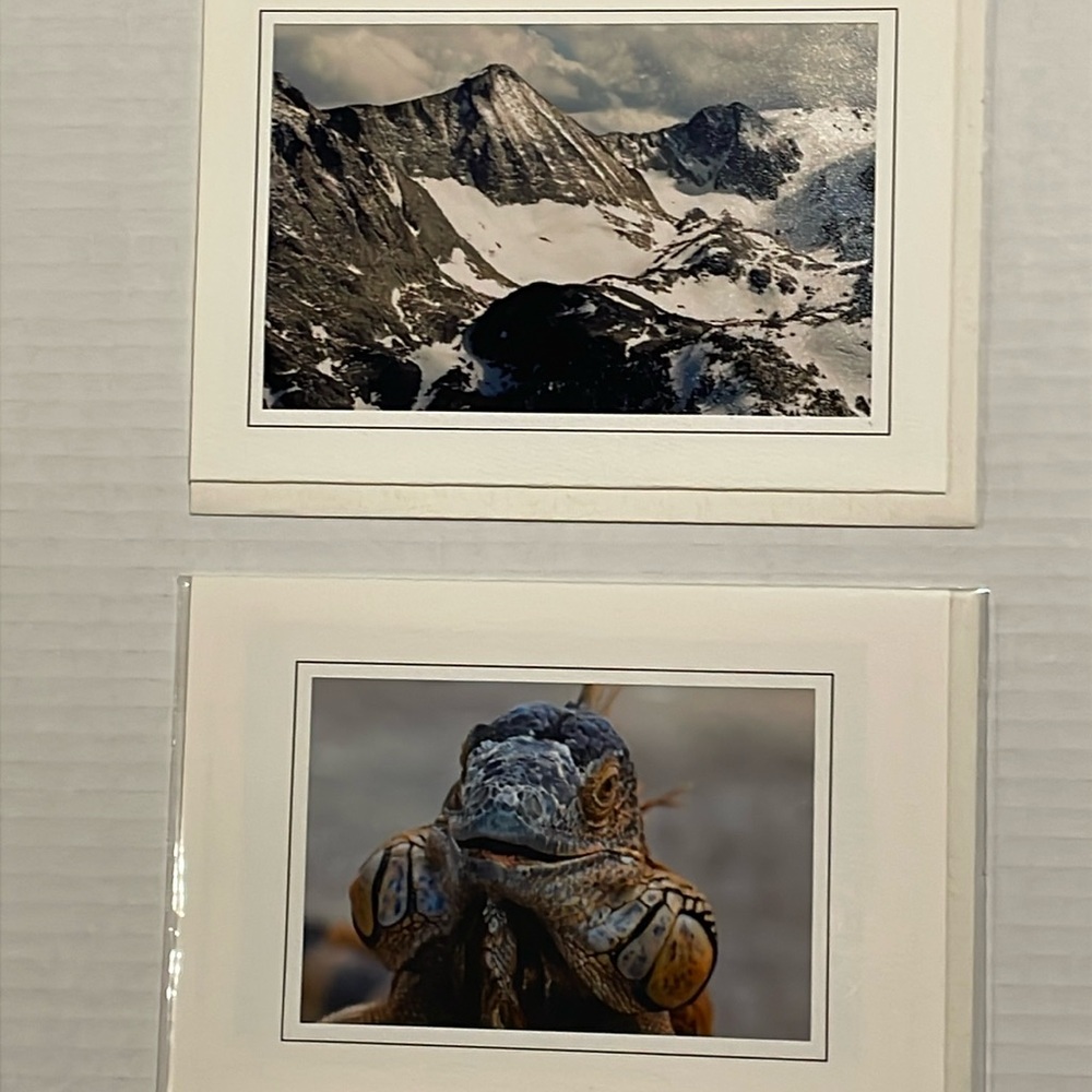 02 SET OF 12 Nature Photo Cards: elk, iguana, bird, desert arch, mountain snow